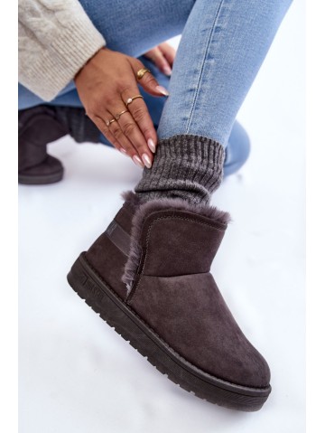 Women's Snow Boots Big Star KK274623 Grey