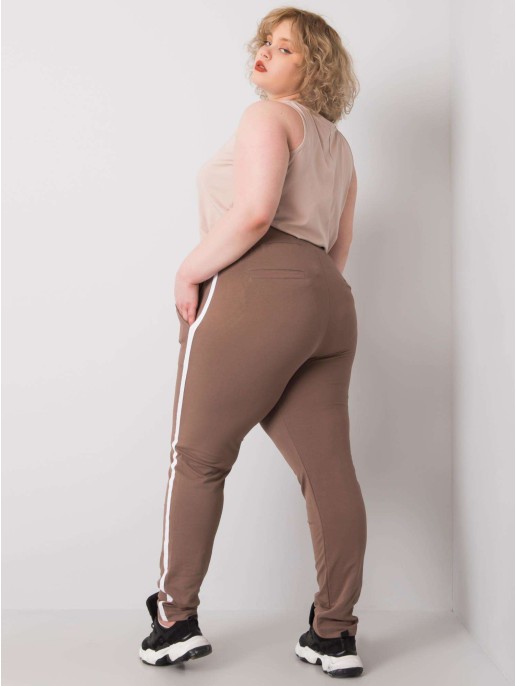 Spodnie dresowe-RV-DR-6643.95-brązowy