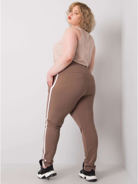 Spodnie dresowe-RV-DR-6643.95-brązowy