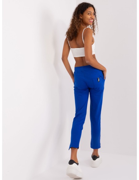 Spodnie dresowe-RV-DR-8380.25P-kobaltowy